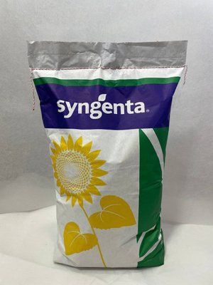 Сингента Сузука HTS (під Гранстар), насіння соняшника Syngenta Suzuka HTS sysuzu1 фото
