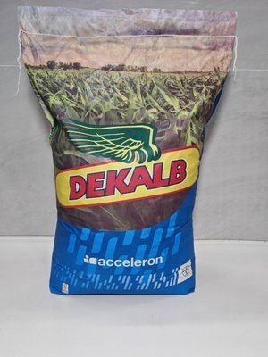 DKC 3710 max yield, ФАО 290, насіння кукурудзи ДКС Monsanto (Dekalb) dks3710 фото
