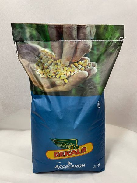 DKC 3710 max yield, ФАО 290, насіння кукурудзи ДКС Monsanto (Dekalb) dks3710 фото