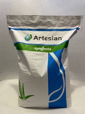 СИ Чорінтос, ФАО 290, насіння кукурудзи Syngenta (Сингента) sycher1 фото