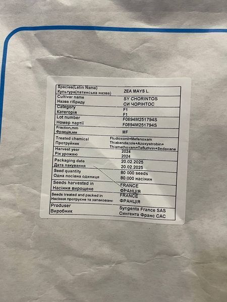 СИ Чорінтос, ФАО 290, насіння кукурудзи Syngenta (Сингента) sycher1 фото