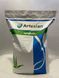СИ Чорінтос, ФАО 290, насіння кукурудзи Syngenta (Сингента) sycher1 фото 1