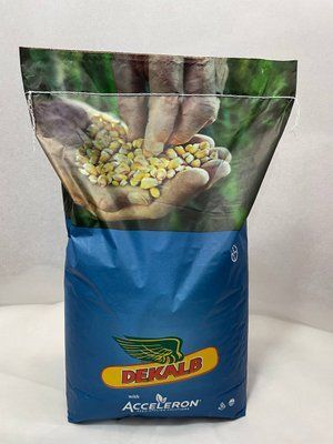 Насіння кукурудзи ДКС 3939 ( ФАО 320 ) dks3939 фото