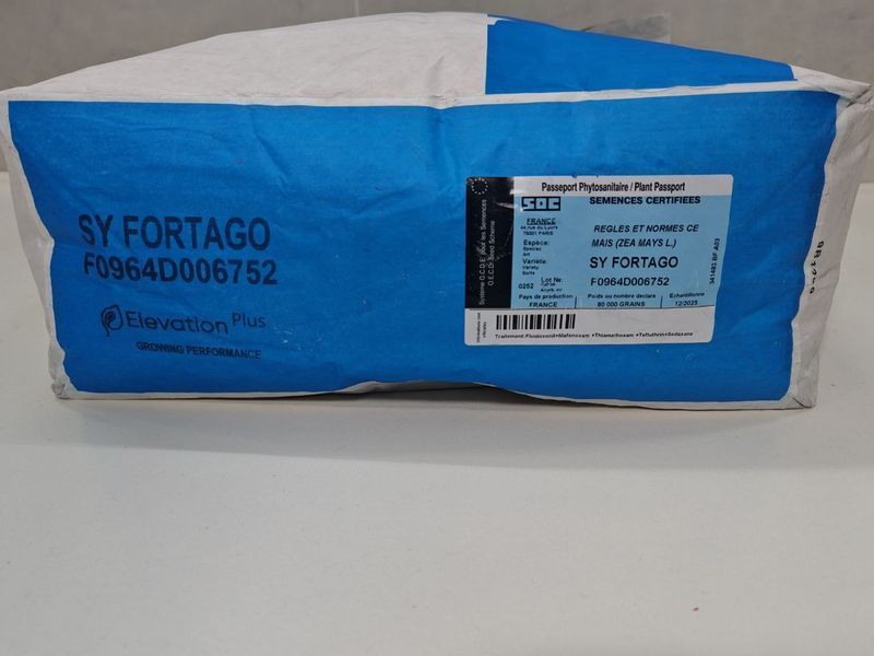 Насіння кукурудзи Syngenta Fortago ( Сингента Фортаго ) ФАО 260 fortago260 фото