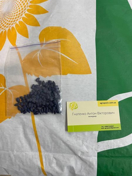 Насіння соняшника СИ Амазонія (Класичний) Syngenta (Сингента) syamazon1 фото