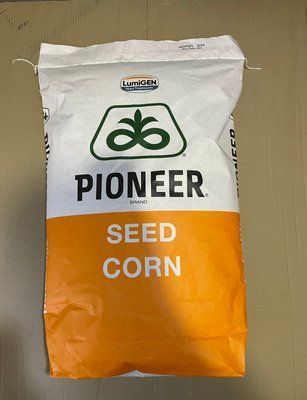 Насіння кукурудзи Pioneer P8816 (ФАО 300)  p8816  фото