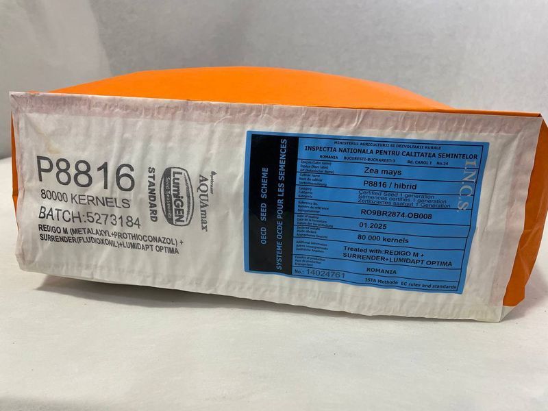Насіння кукурудзи Pioneer P8816 (ФАО 300)  p8816  фото