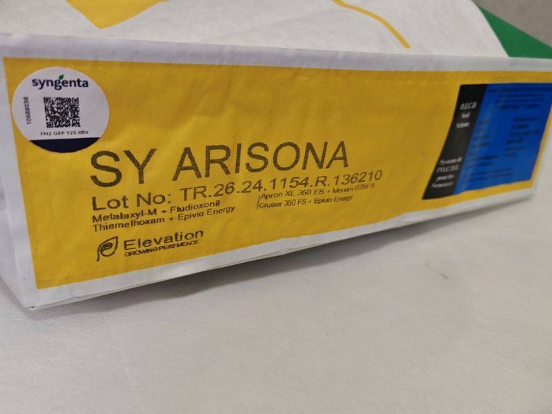 СИ Арізона Syngenta насіння соняшника SY Arisona Сингента siariz1 фото