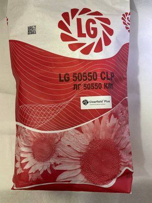 ЛГ 50550 CLP Limagrain (під Євро-Лайтнінг), насіння соняшника LG 50550 CLP Лімагрейн lg50550 фото